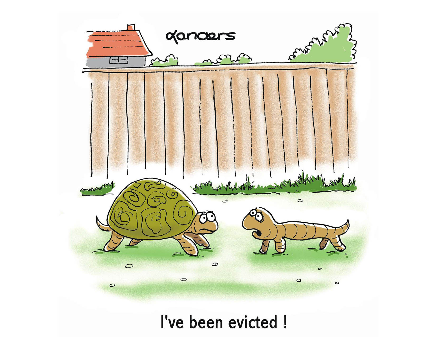 tortoise cartoon